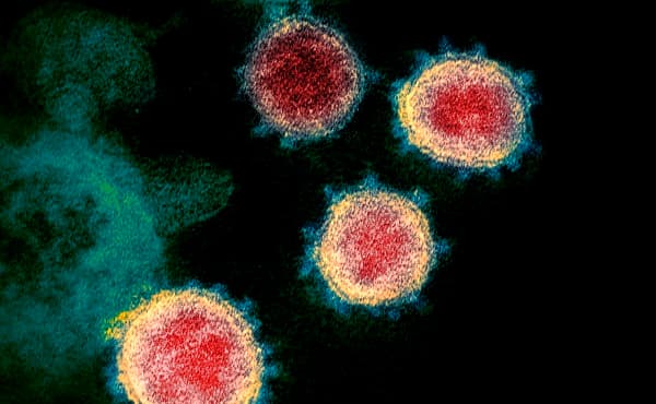 კვიპროსში “დელტას“ და “ომიკრონის“ გაერთიანებული ვარიანტი – “დელტაკრონი“ აღმოაჩინეს