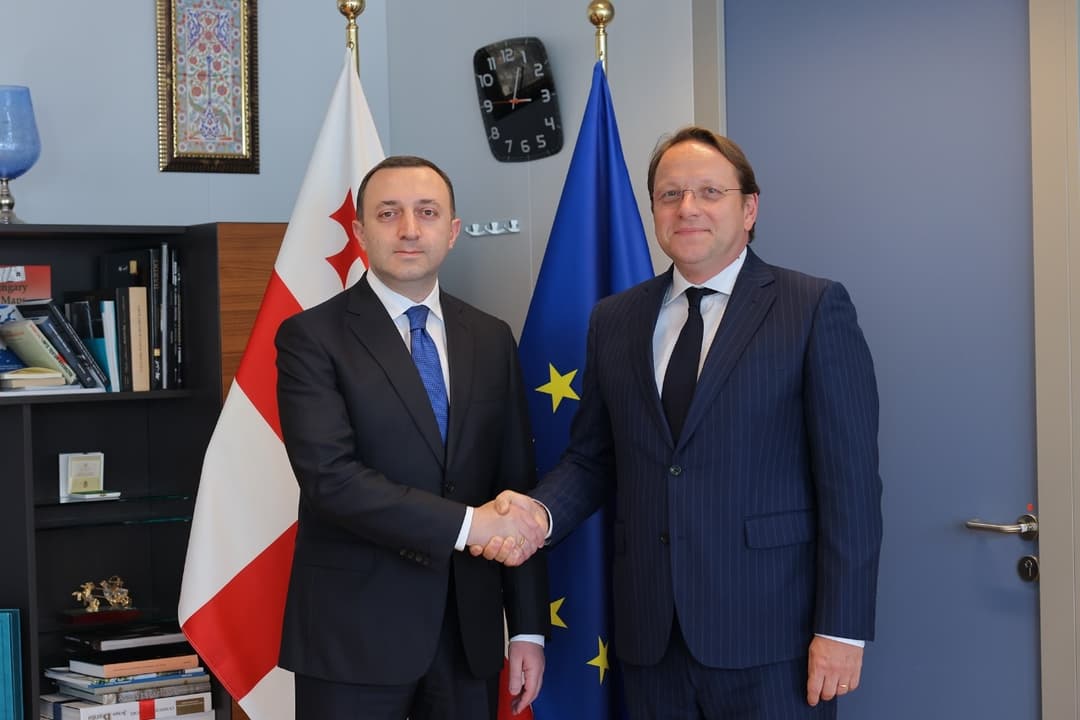 ირაკლი ღარიბაშვილი ოლივერ ვარჰეის შეხვდა