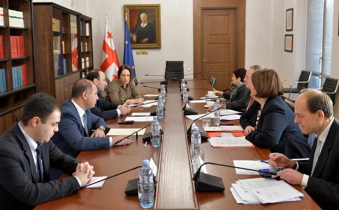 ანრი ოხანაშვილი და გივი მიქანაძე ვენეციის კომისიის დელეგაციას შეხვდნენ