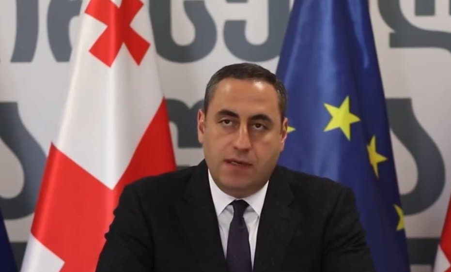 Opposition leader expresses readiness for referendum on Georgia’s foreign priorities