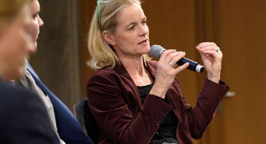 ვიოლა ფონ კრამონი – რუსეთი ახლა ავრცელებს ანტიქართულ და ევროკავშირის საწინააღმდეგო დეზინფორმაციას