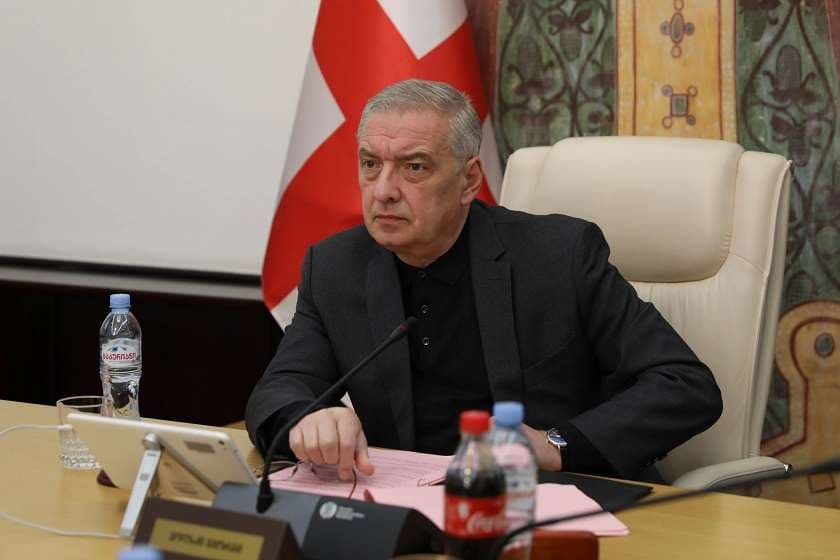 გია ვოლსკი – “ნაცმოძრაობა“ ორი ლიდერის ხელში დარჩა და ერთი ბელადის შემყურე