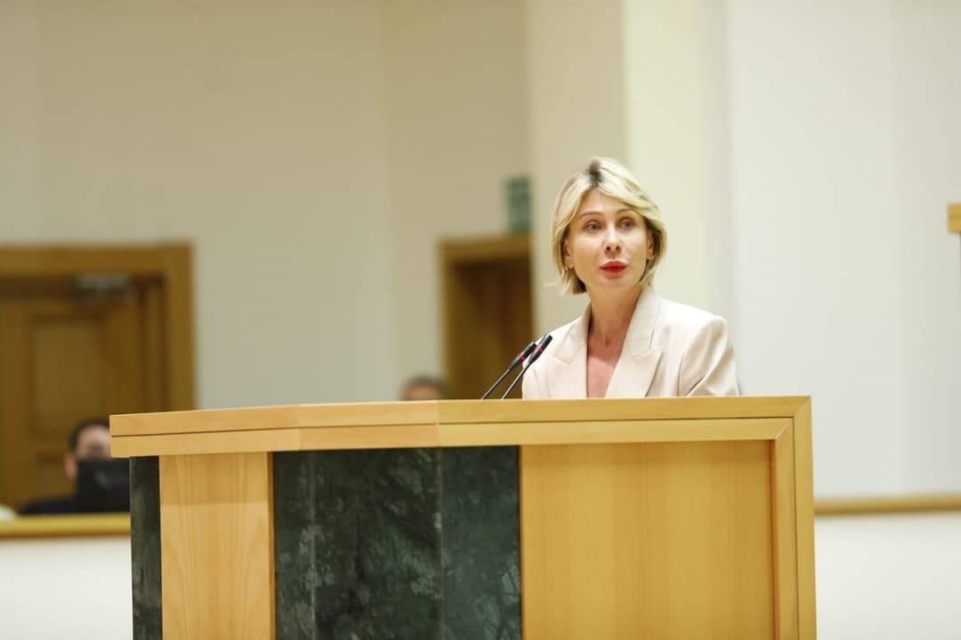 ნინო წილოსანი – მე გეტყვით ჩვენი მოსახლეობის 80%-ის სახელით მადლობას, რომ შევძელით, მშვიდობის უზრუნველყოფა