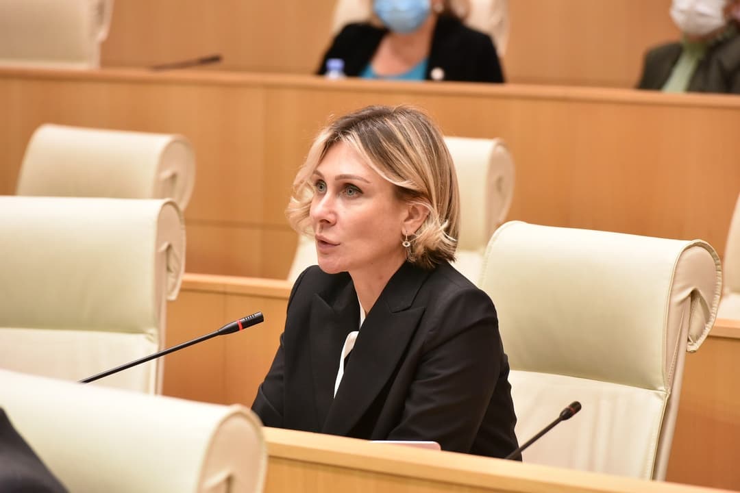 ნინო წილოსანი – ოპოზიციის მხრიდან ორბანის კრიტიკა გაუგებარია