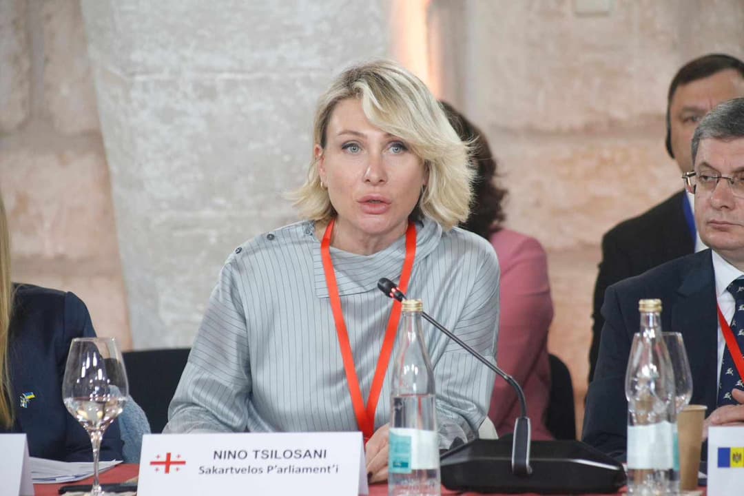 ნინო წილოსანი – თინა ბოკუჩავა რომ მარიამ ლაშხს ფიზიკურად შეეხება, ეს სუფთად “ნაცური” საქციელია!