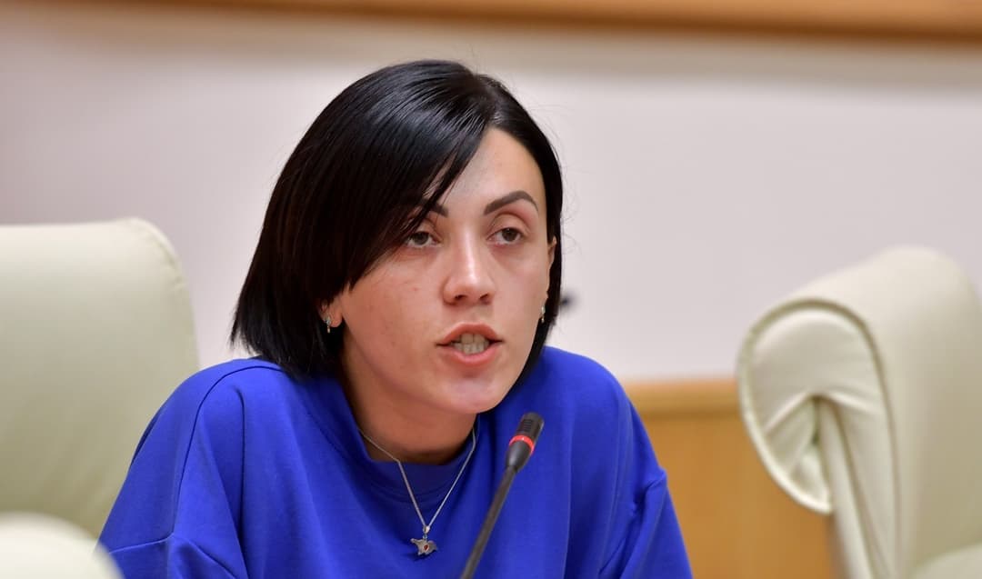 ანა წითლიძე – ჩემი პარტია არის მთავარი ლობისტი საერთაშორისო პარტნიორებთან, რომ ქვეყანამ კანდიდატის სტატუსი მიიღოს