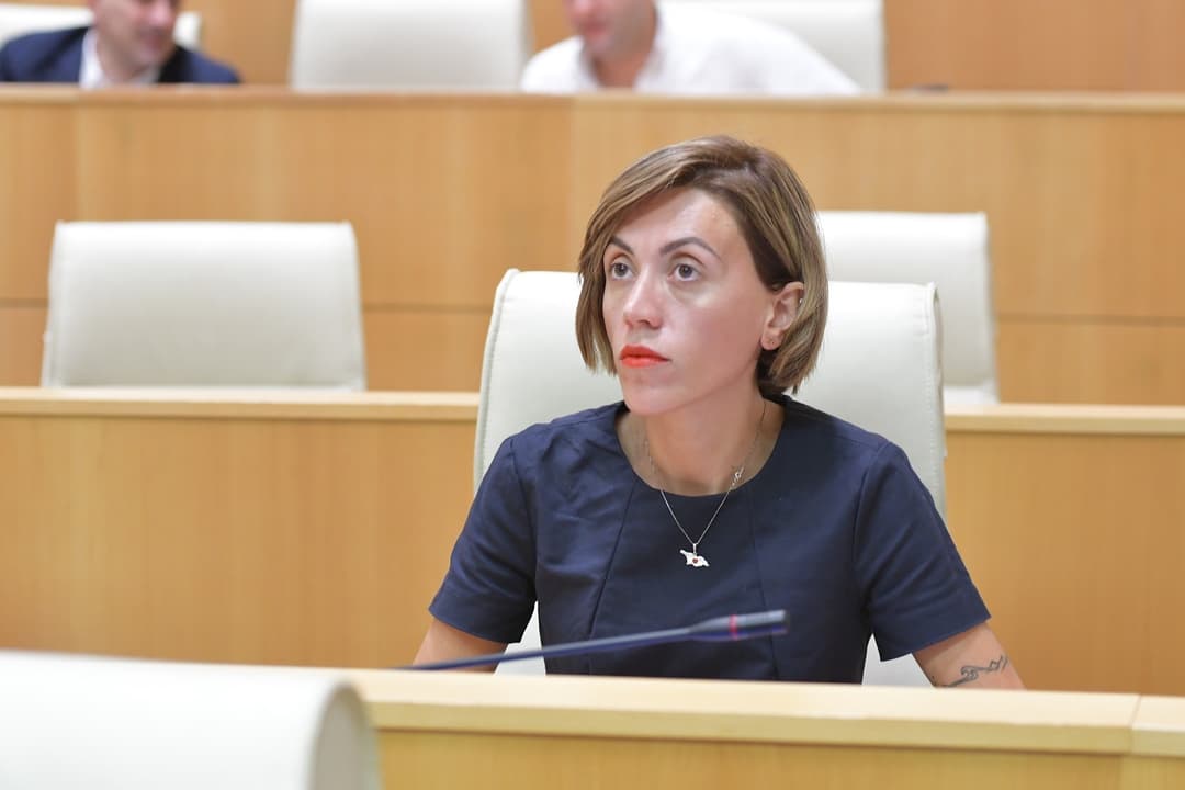 ანა წითლიძე – მაშინ, როცა მოქალაქეები გარბიან ქვეყნიდან, თქვენ გვიწყობთ სპექტაკლს, რასაც ჰქვია პრეზიდენტის იმპიჩმენტი