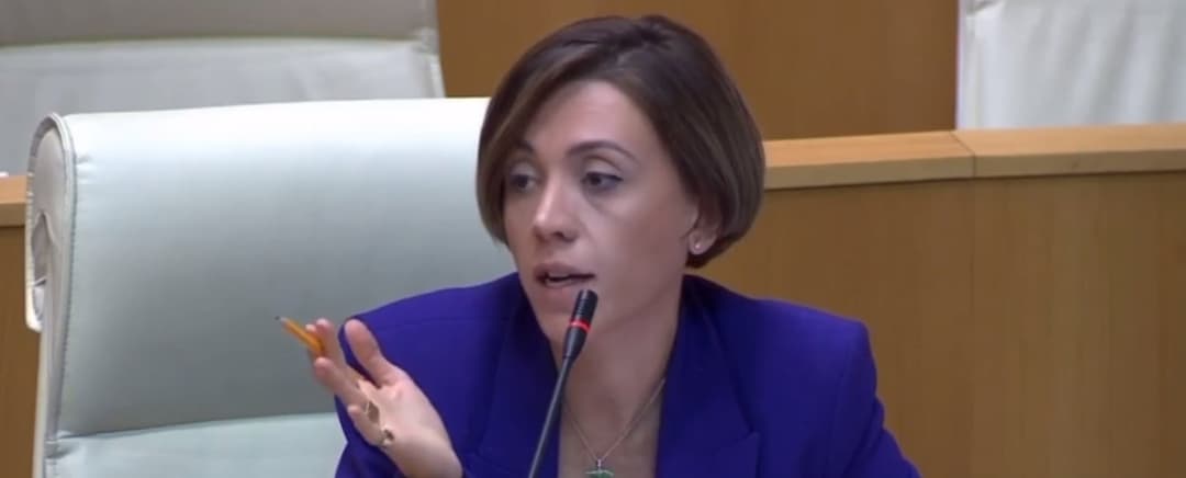 ანა წითლიძე – ვითხოვთ, რომ დაუყოვნებლივ შეამოწმონ ალკოჰოლურ ტესტზე, იმიტომ რომ ეს ადამიანი არ იყო ფხიზელი