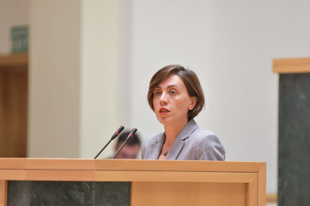 ანა წითლიძე – ამ ამნისტიის პროექტს აქვს ერთადერთი მიზანი, რომ პატიმრების და მათი ოჯახის ხმები გამოიყენონ საარჩევნოდ