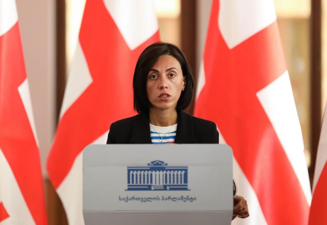 ანა წითლიძე – ესეც ჩვენი ბრალია “ქართული ოცნების” 461 კანონს ხმა რომ მისცა?