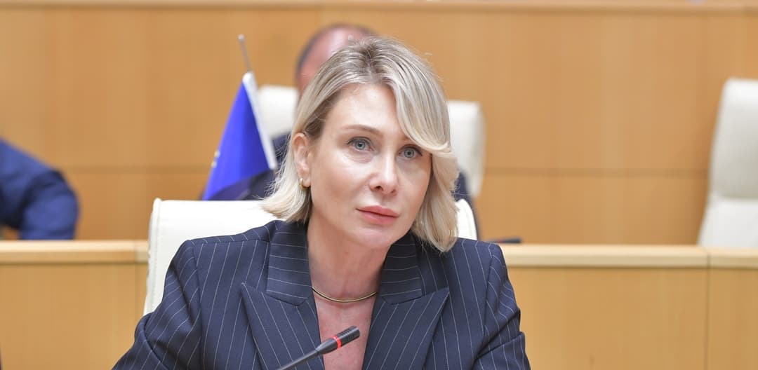 ნინო წილოსანი – გილოცავთ, გზა და მორალ აცდენილი ოპოზიციის ნეოსააკაშვილობას