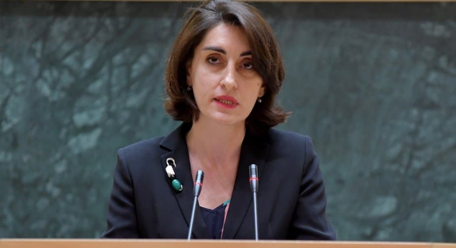 მაკა ბოჭორიშვილი – დემარში ვერ გახდება ხელისშემშლელი ფაქტორი