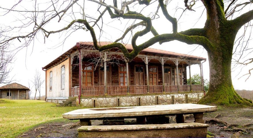 სოფელ ჩუნეში ნიკო ლორთქიფანიძის სახლ-მუზეუმის ეზოში ამფითეატრის და დამხმარე ნაგებობების რეაბილიტაციის პროექტი ხორციელდება