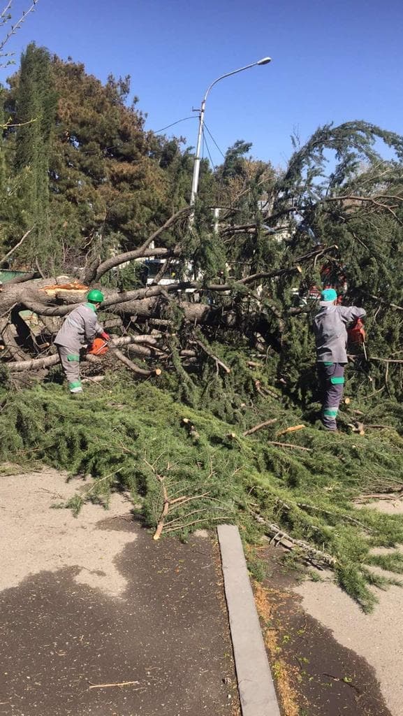 Frontnews image description