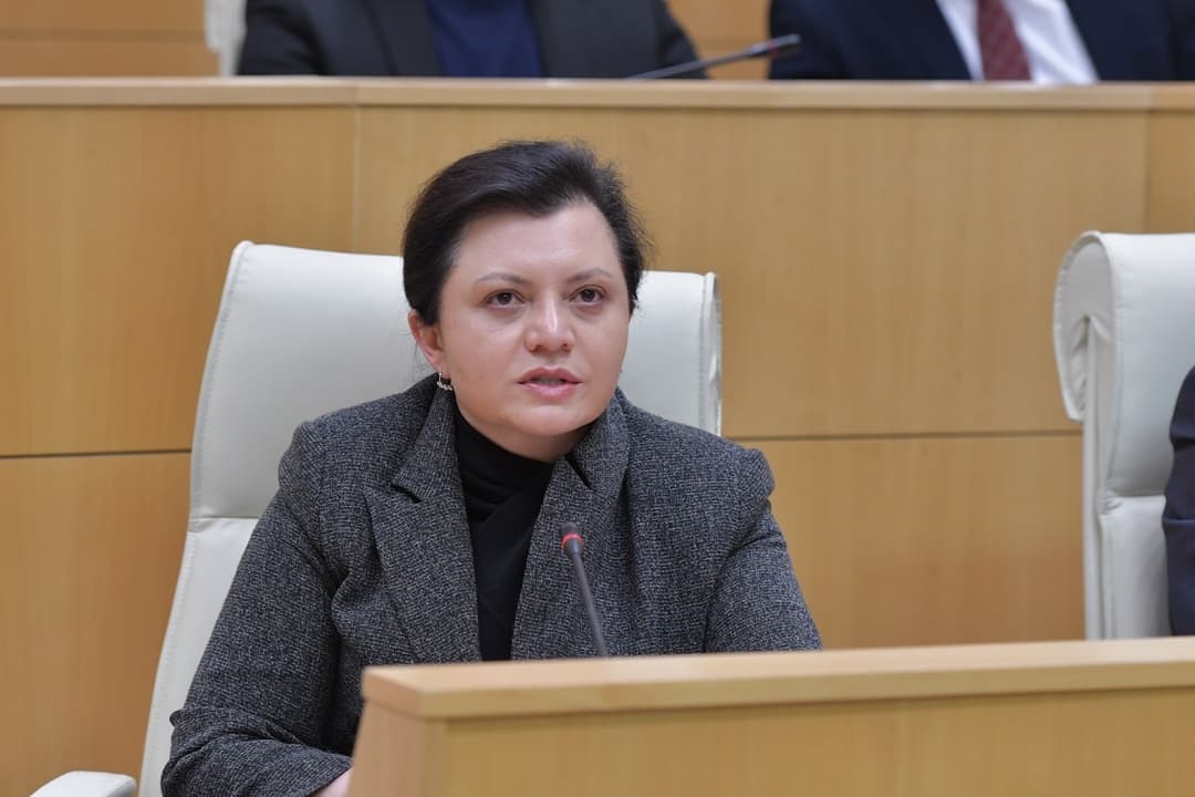 ეკა ხერხეულიძე – ყველა საერთაშორისო პლატფორმა იქნას გამოყენებული, რათა მამუკა ჩხიკვაძე და ირაკლი ბებუა დროულად დაუბრუნდნენ ოჯახებს