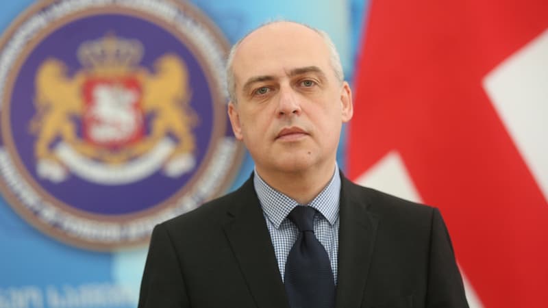 Georgian FM on de facto Tskhinvali’s attempts to join Russia: referendum will have no legal force