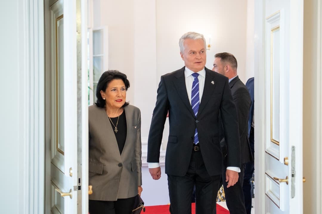 Georgian President meets Lithuanian counterpart in Vilnius