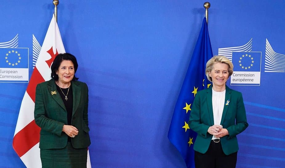 სალომე ზურაბიშვილი – მივმართავ ურსულა ფონ დერ ლაიენს, გაითვალისწინოს, რომ ეს ხალხი იმსახურებს ხანგრძლივი გზის აღიარებას