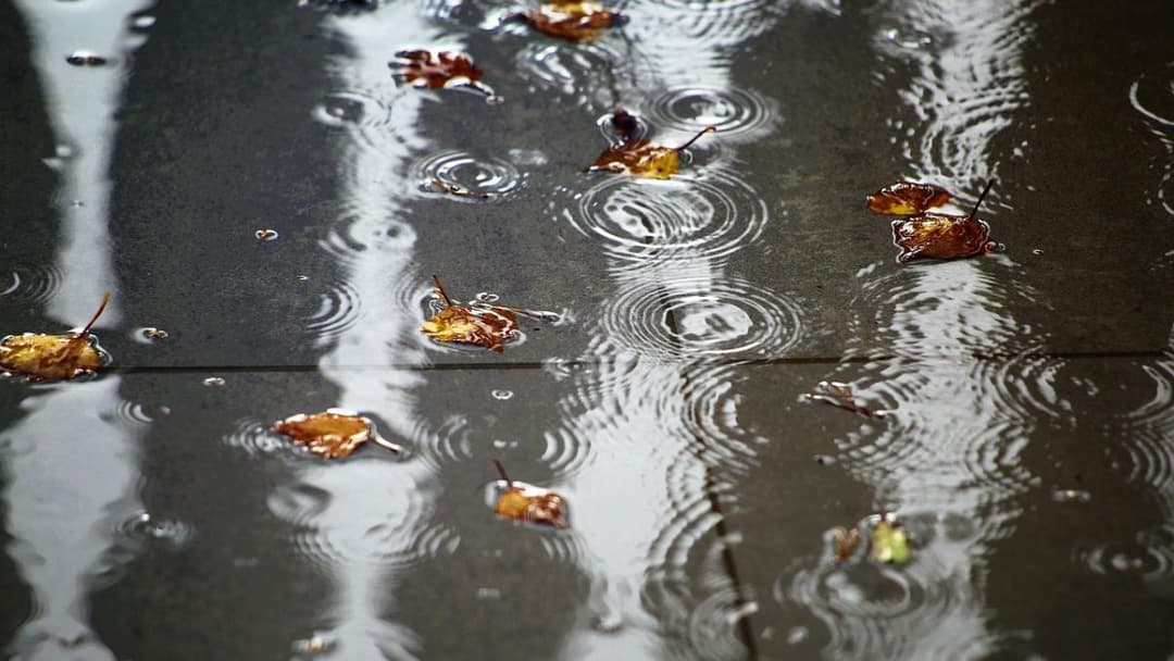 17-18 ოქტომბერს მოსალოდნელი ამინდი საქართველოში
