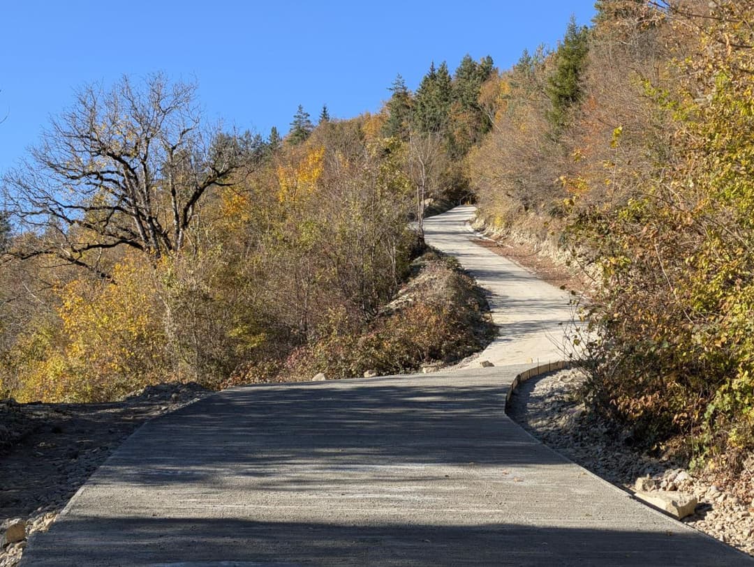 წელს ბორჯომის მუნიციპალიტეტში 13,5 კმ გზის რეაბილიტაცია განხორციელდა