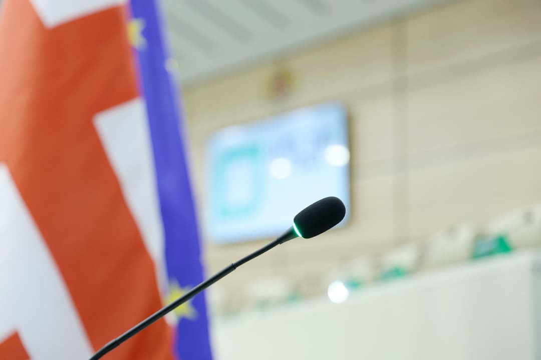 Law amendments grant Georgian Central Election Commission chair, members right to carry weapons