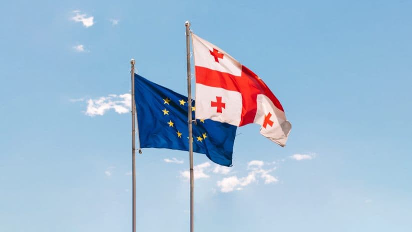 “მოვუწოდებთ ევროკომისიას და ევროპულ საბჭოს, გადახედოს ვიზალიბერალიზაციის რეჟიმს საქართველოსთან, არ გამორიცხოს მისი ბოლომდე შეჩერების შესაძლებლობა”