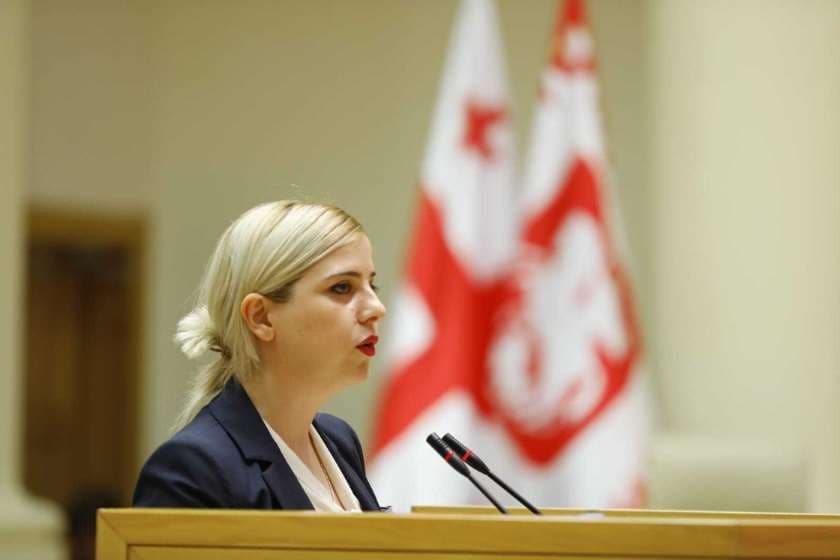 Majority member denies claims of visa denial for Georgian delegation to NATO Assembly