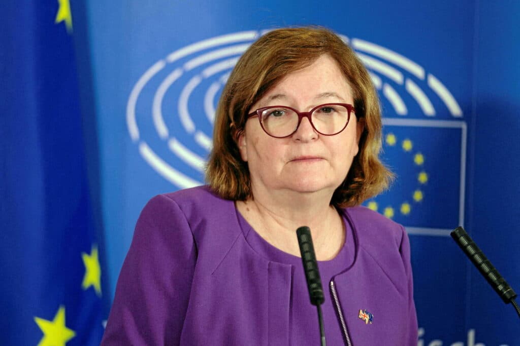 MEP Natalie Loiseau: ‘Georgians do not accept theft of their European future’