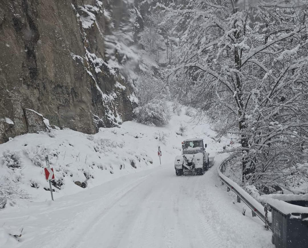 ბორჯომის მუნიციპალიტეტში გზების თოვლისგან გაწმენდა მიმდინარეობს
