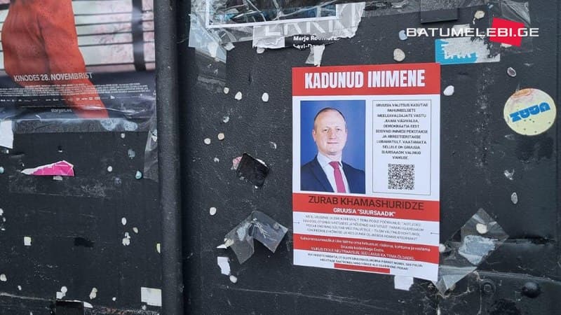 ტალინში მცხოვრებმა ქართველებმა საქართველოს ელჩის ფოტოები ქუჩებში გააკრეს