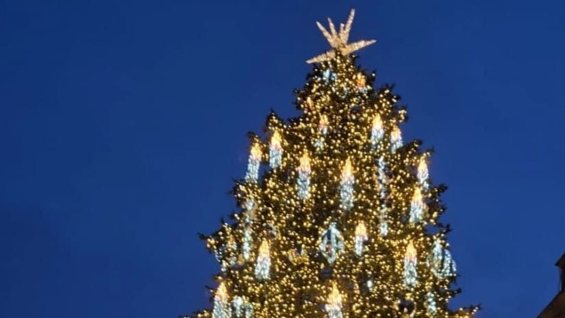 დედაქალაქში მთავარი ნაძვის ხე და საახალწლო ილუმინაციები აინთო