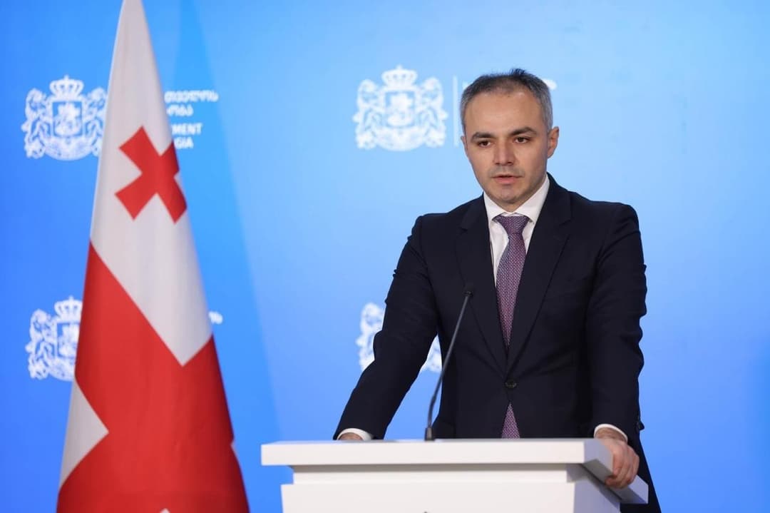 ალექსანდრე წულაძე – ყოვლად მიუღებელია საგანმანათლებლო დაწესებულებების პოლიტიზება