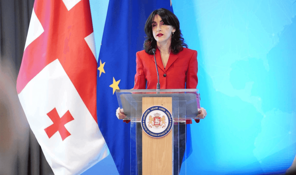 მაკა ბოჭორიშვილი – ევროკავშირთან ურთიერთობებში დღევანდელი მოცემულობა არასახარბიელოა, თუმცა შეიძლება, გაჩნდეს სულ სხვაგვარი შესაძლებლობები