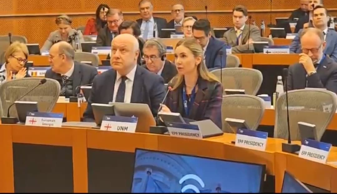 თინა ბოკუჩავა – მოგიწოდებთ, მხარი დაუჭიროთ საგანგებო რეზოლუციას, რომელიც პრეზიდენტის მიერ იქნა წარმოდგენილი