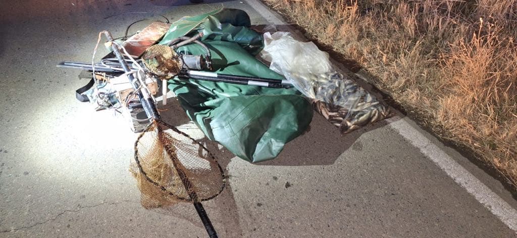 ქვემო ქართლში ელექტროიარაღით უკანონო თევზჭერის ორი ფაქტი გამოავლინეს