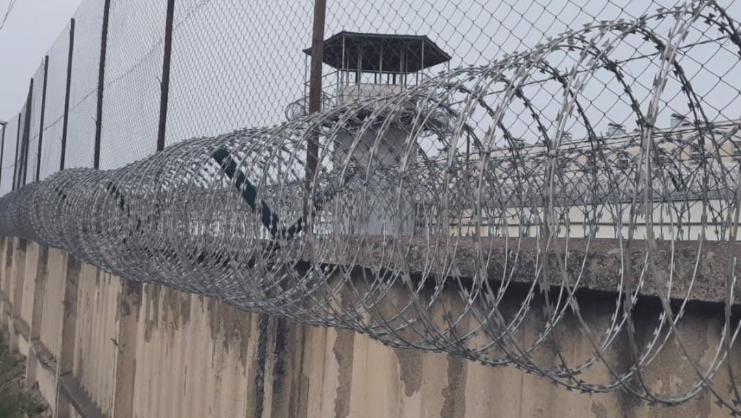 “მიხეილ ყაველაშვილის მიერ შეწყალების მასშტაბური აქტი თვითნებობის ნიშნებს ატარებს”