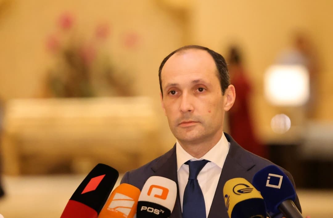 Georgia and Kuwait to form joint working group for economic cooperation