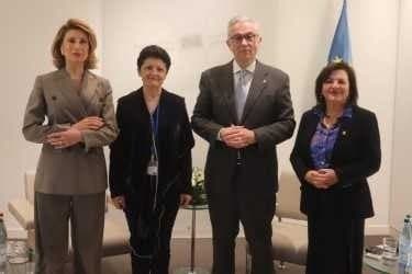 თეა წულუკიანმა და თამარ ტალიაშვილმა ევროპის საბჭოს საპარლამენტო ასამბლეის პრეზიდენტსა და გენერალურ მდივანთან შეხვედრა გამართეს