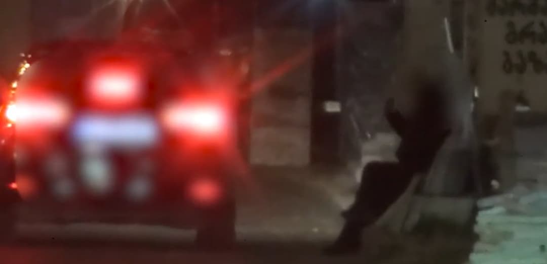 შშმ პირის მიმართ ჯგუფურად განხორციელებული ტრეფიკინგის ფაქტზე ორი პირი დააკავეს