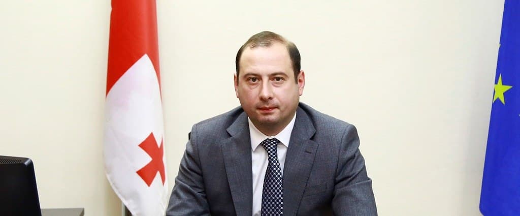 Georgian deputy finance minister responds to controversy over $481 mln artwork import