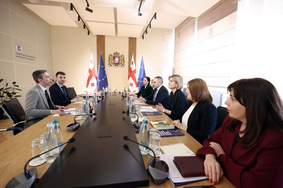 ალექსანდრე წულაძემ ბრიტანეთის საბჭოსა და Times Higher Education-ის წარმომადგენლებთან ტრანსნაციონალური განათლების სფეროში თანამშრომლობის ახალ ეტაპზე გადასვლის გეგმები განიხილა