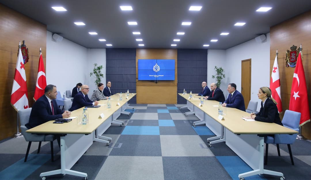 ვახტანგ გომელაური თურქეთის ელჩს შეხვდა