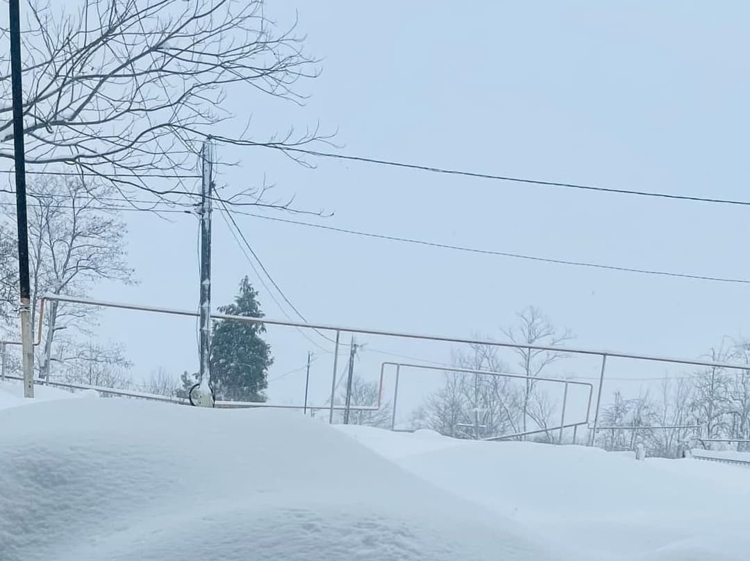 დიდთოვლობა გურიაში – მოსახლეობა დახმარებას ითხოვს