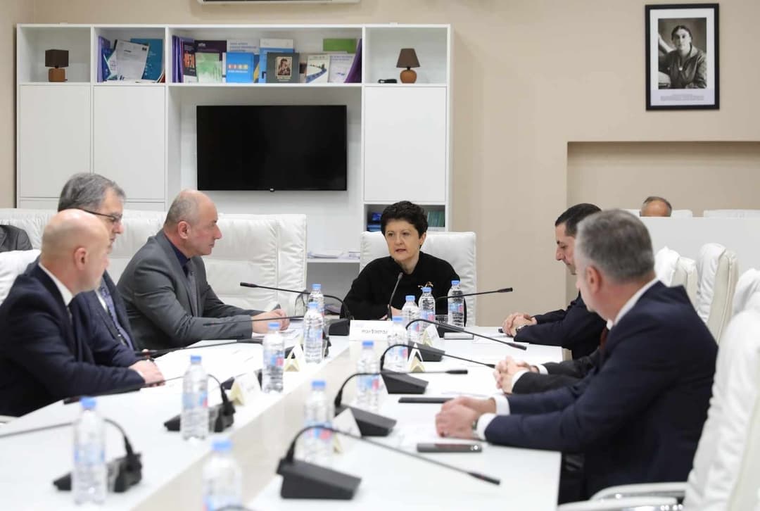 დროებითი საგამოძიებო კომისიის თავმჯდომარე თეა წულუკიანი იქნება