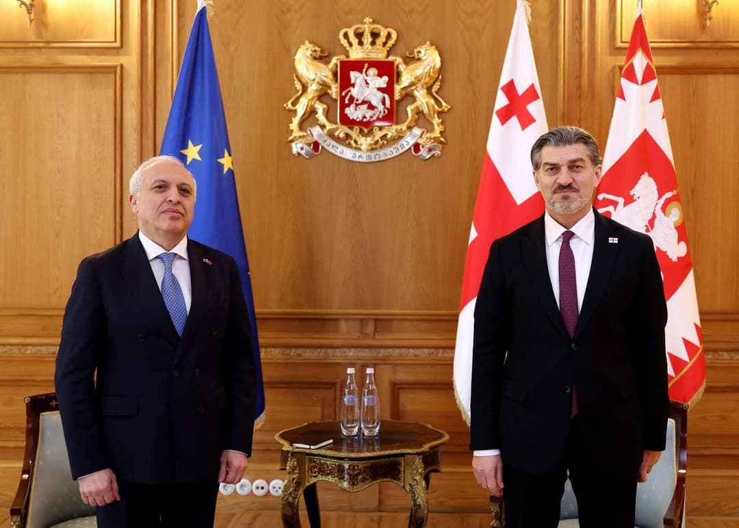 მიხეილ ყაველაშვილმა სომხეთის ელჩთან გაცნობითი შეხვედრა გამართა