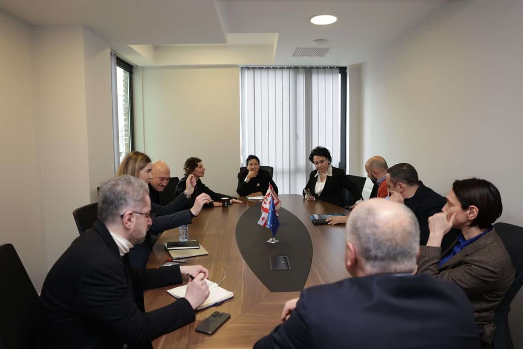 Salome Zourabichvili meets with opposition leaders to discuss political crisis