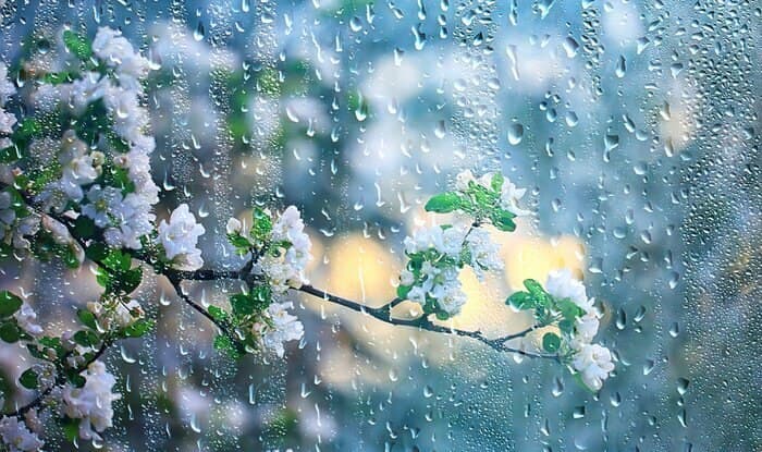 3 აპრილის დღის ბოლომდე საქართველოში დროგამოშვებით წვიმა და ელჭექია მოსალოდნელი