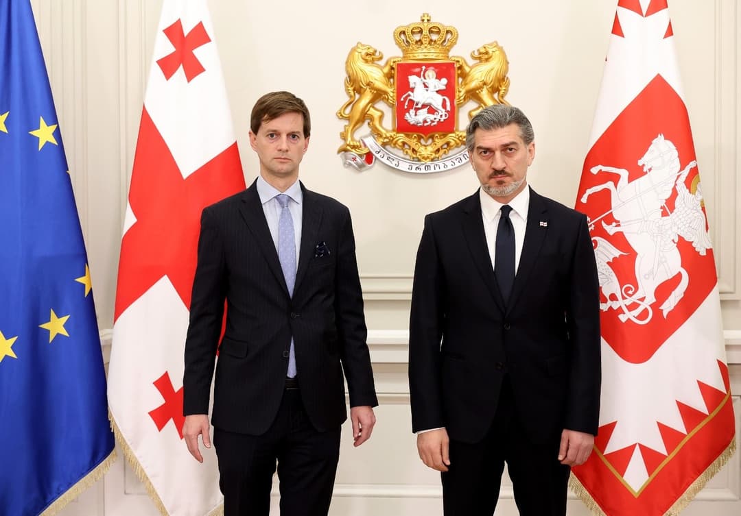 მიხეილ ყაველაშვილს 13 ქვეყნის ელჩებმა რწმუნებათა სიგელები გადასცეს