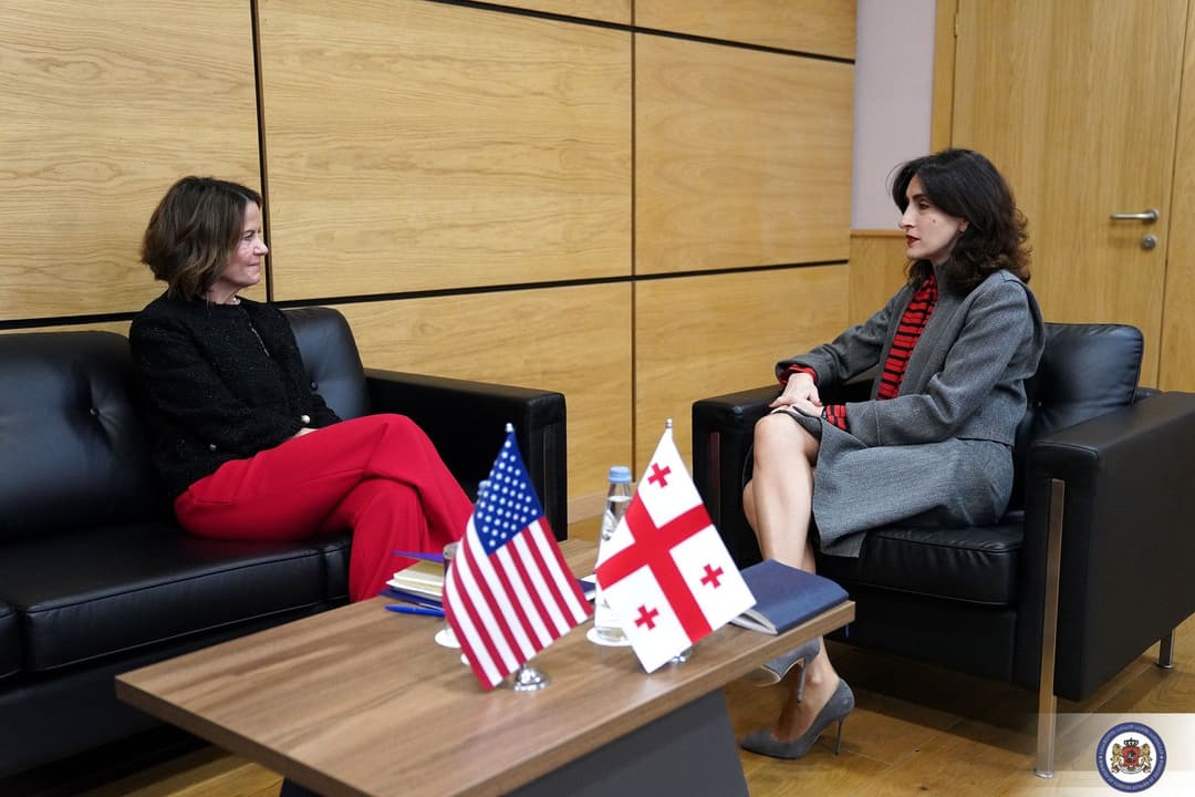 Georgian FM, US Ambassador discuss bilateral ties