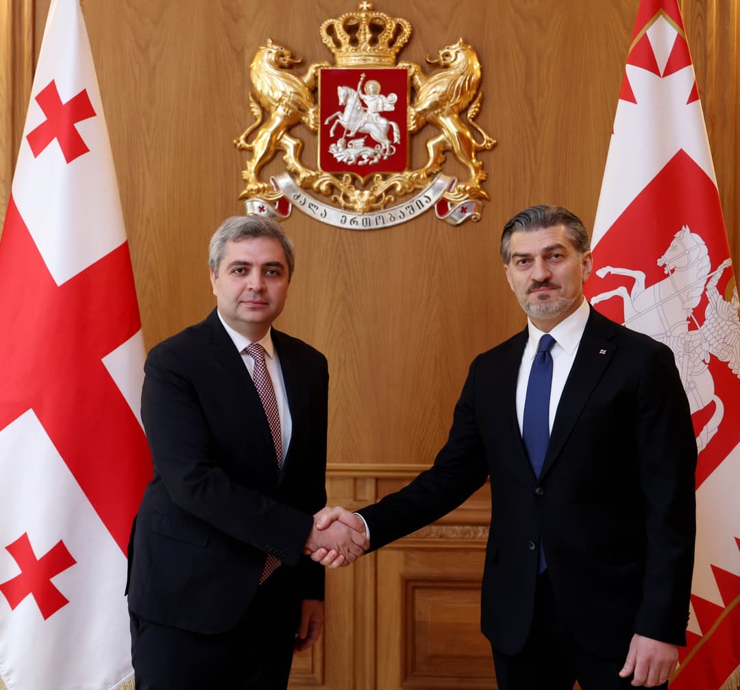 მიხეილ ყაველაშვილმა თურქეთში საქართველოს ახლად დანიშნულ ელჩთან შეხვედრა გამართა